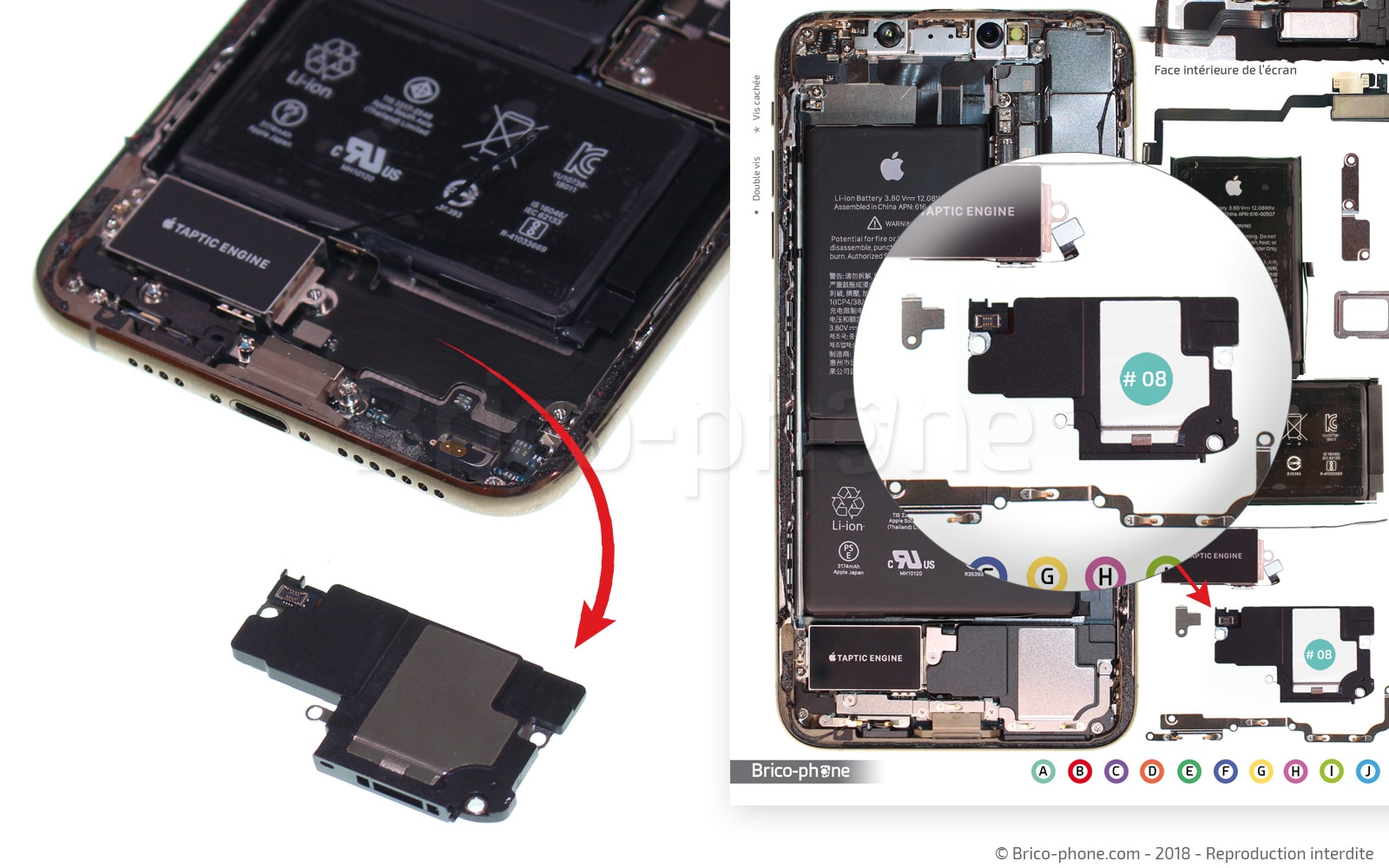 Changement du vibreur Taptic Engine sur iPhone XS Max photo 2