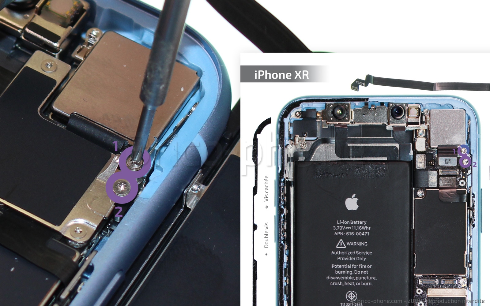 Changement du haut-parleur interne sur iPhone XR photo 1