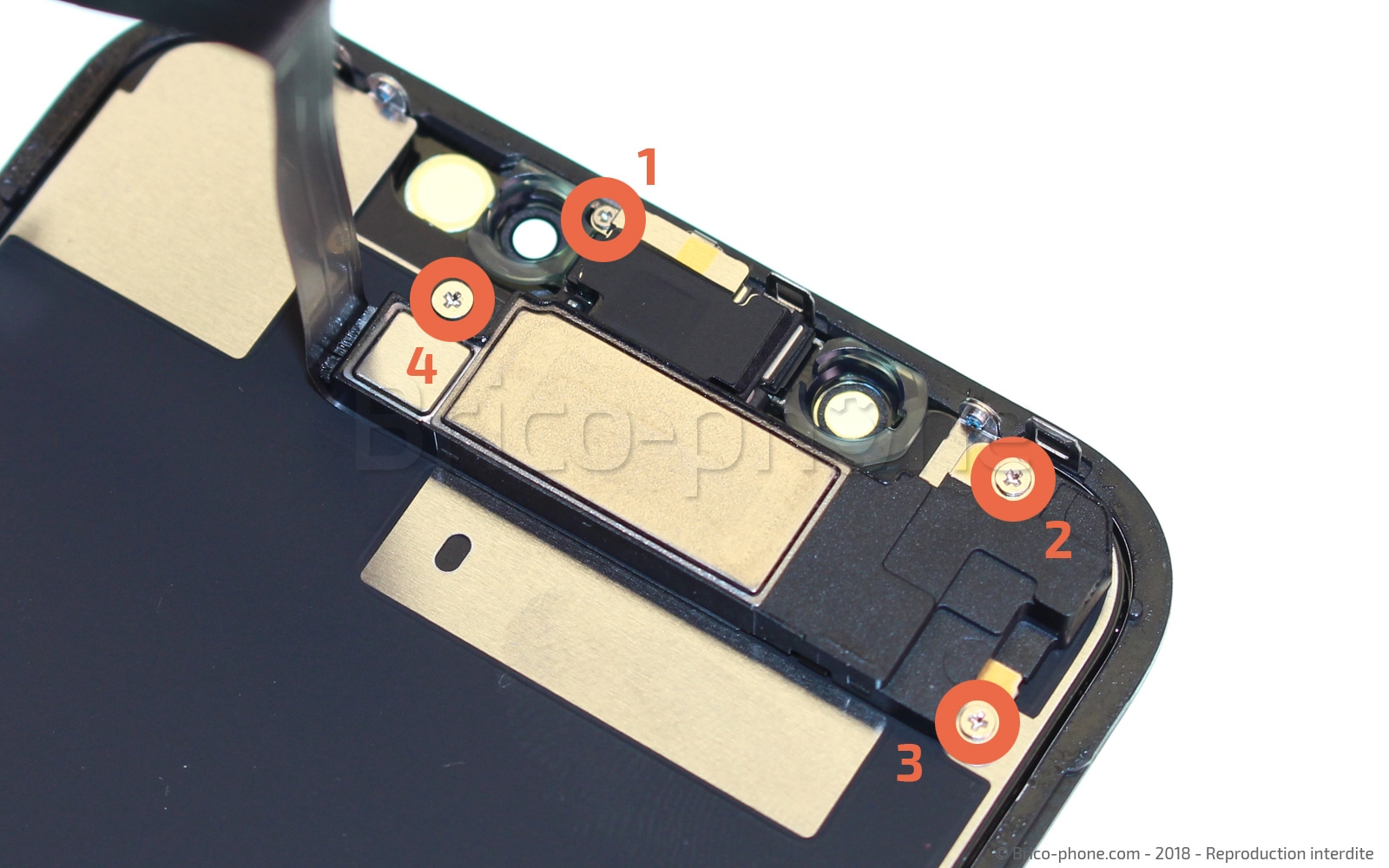 Changement du haut-parleur interne sur iPhone XR photo 1