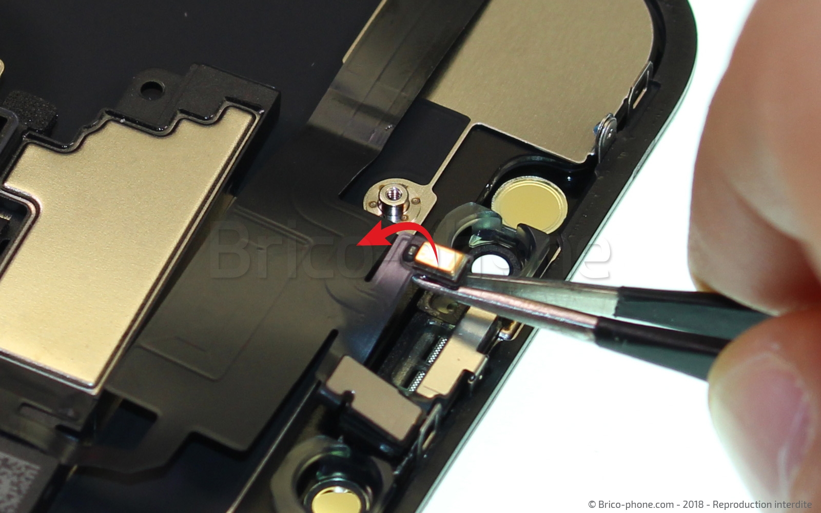 Changement du haut-parleur interne sur iPhone XR photo 3