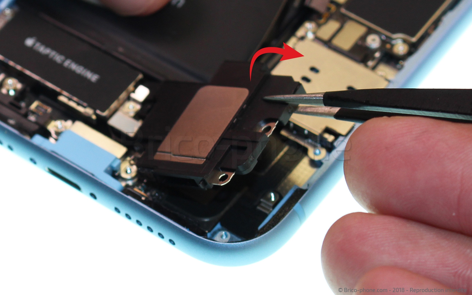 Changement du connecteur de charge sur iPhone XR photo 3