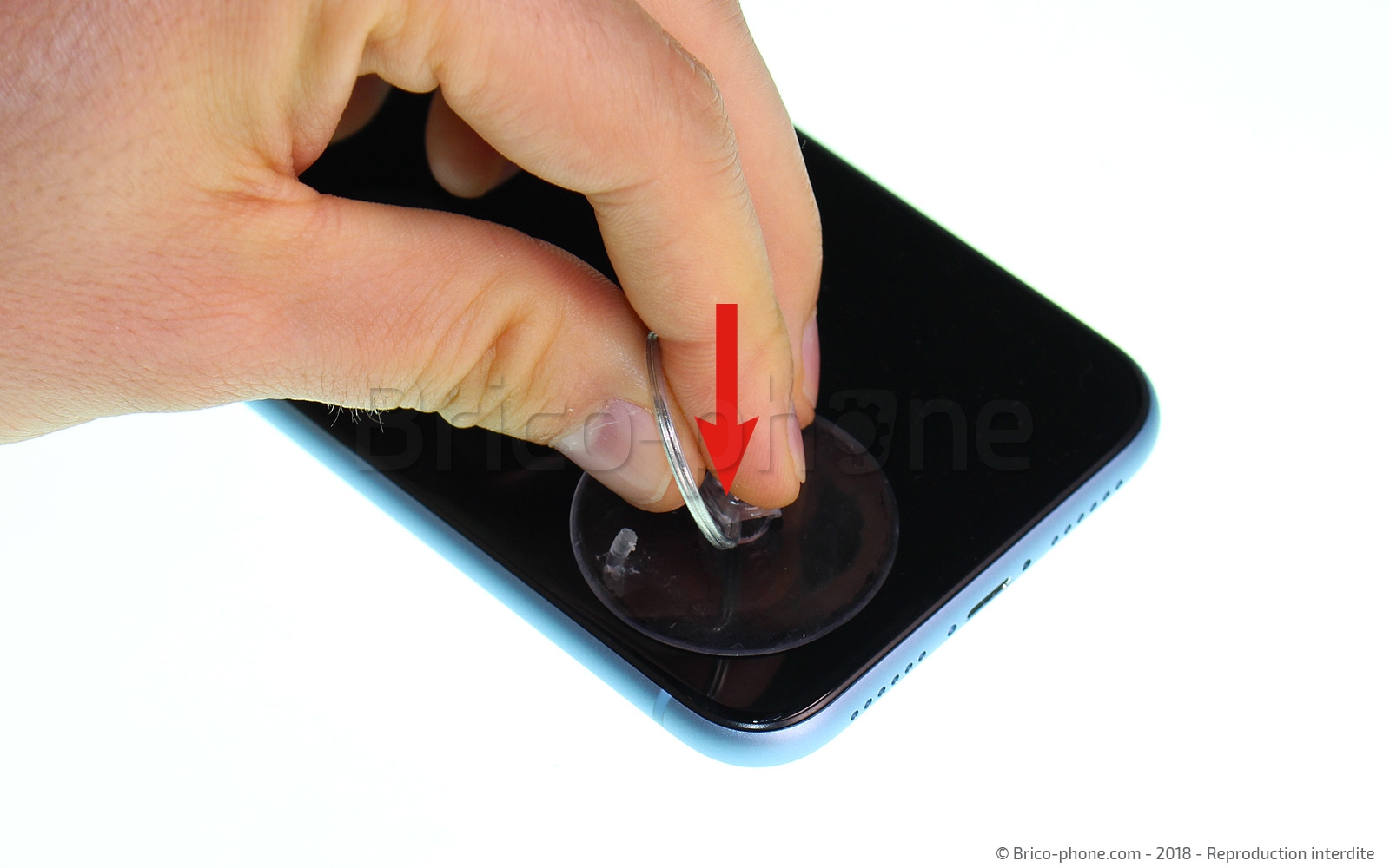 Démontage complet  sur iPhone XR photo 2