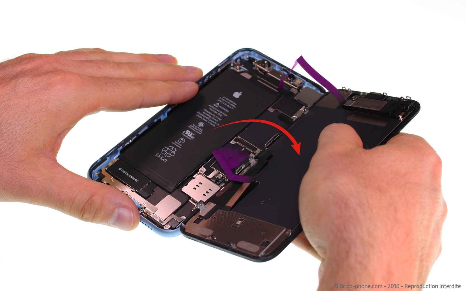 Démontage complet  sur iPhone XR photo 3