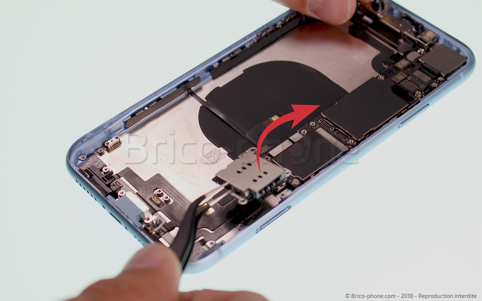 Démontage complet  sur iPhone XR photo 3
