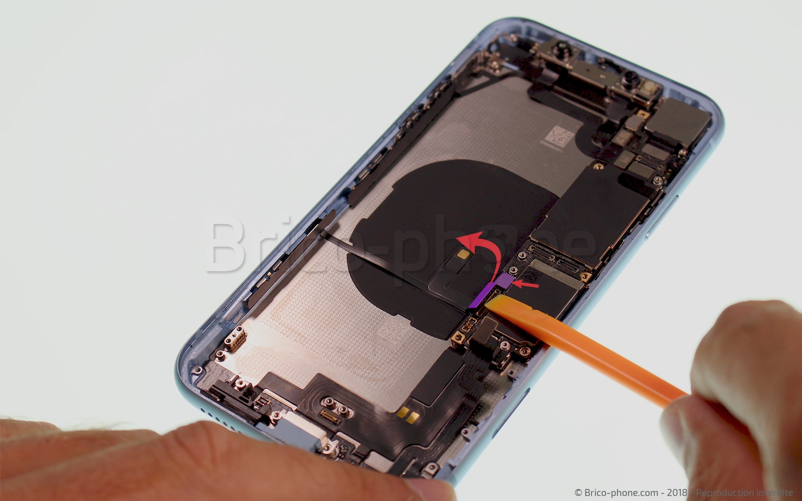 Démontage complet  sur iPhone XR photo 2