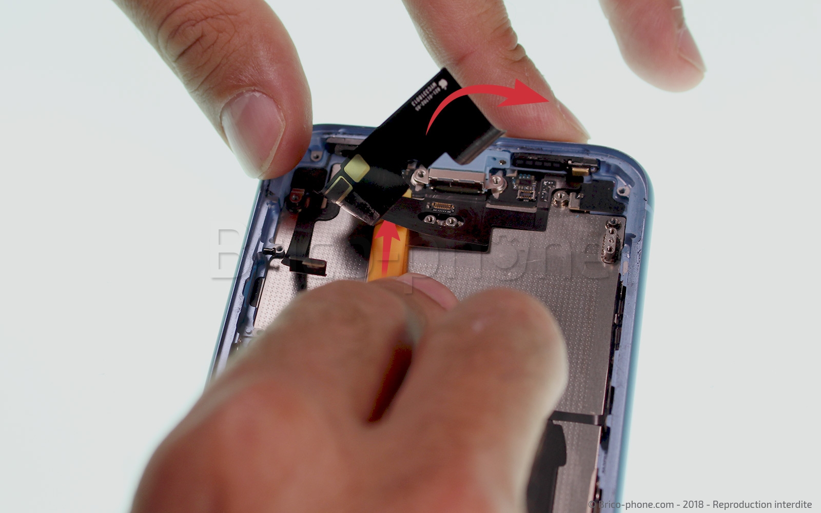 Démontage complet  sur iPhone XR photo 1