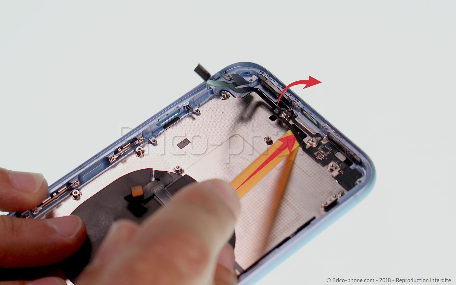 Démontage complet  sur iPhone XR photo 2