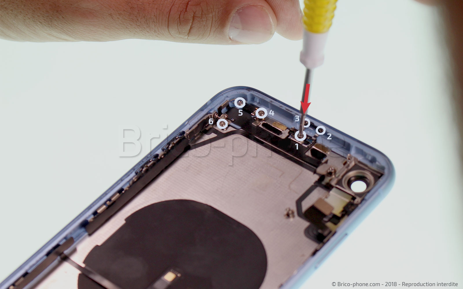 Démontage complet  sur iPhone XR photo 1