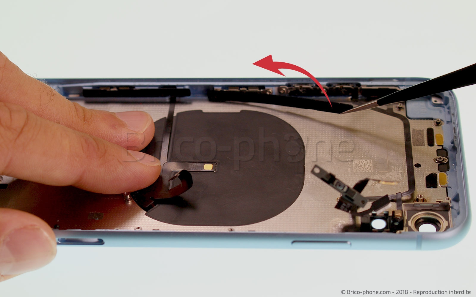Démontage complet  sur iPhone XR photo 2