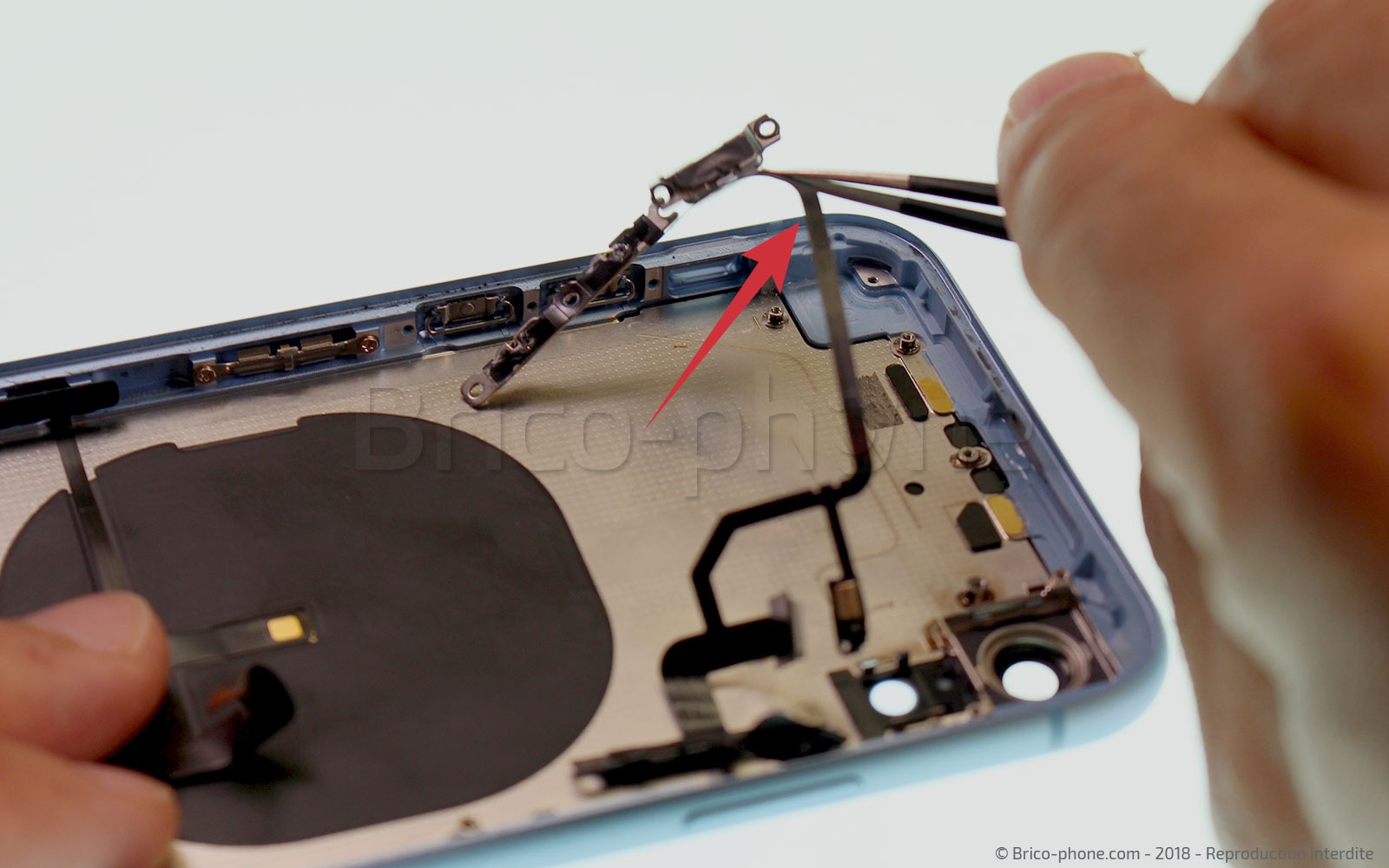Démontage complet  sur iPhone XR photo 3