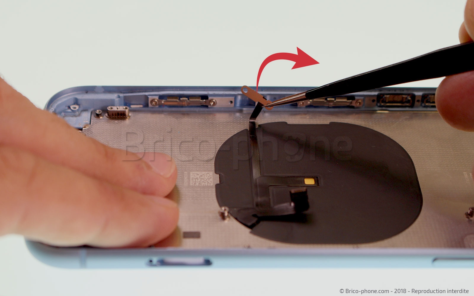 Démontage complet  sur iPhone XR photo 1