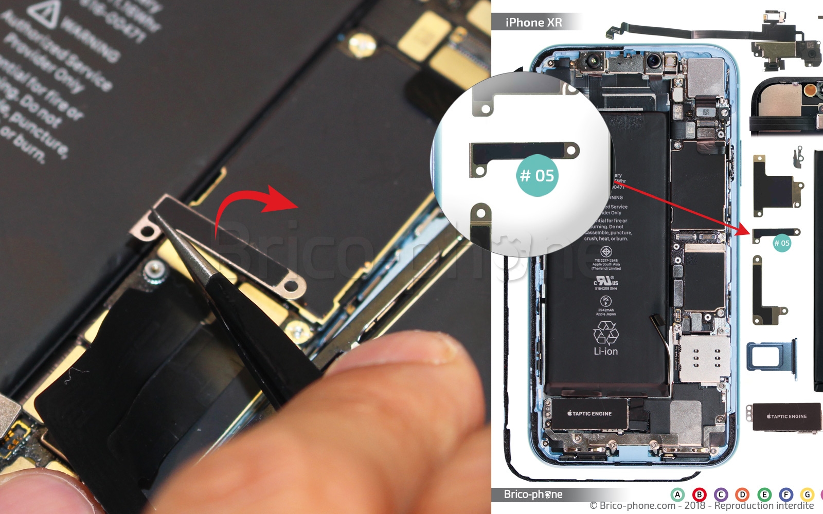 Démontage complet  sur iPhone XR photo 2