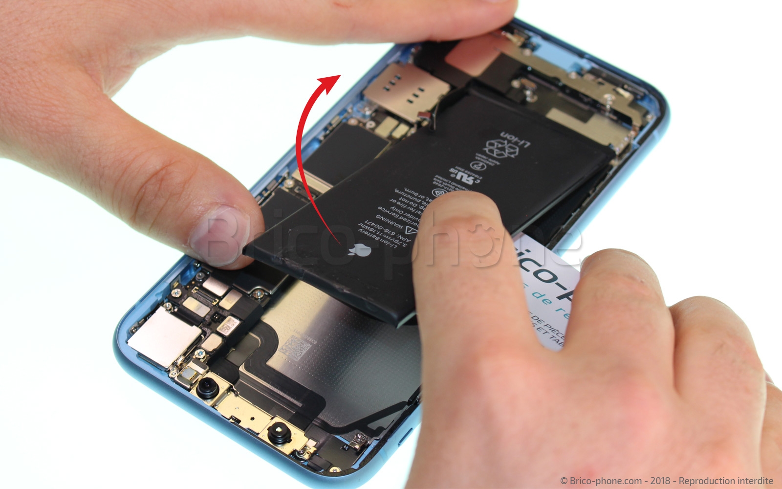 Démontage complet  sur iPhone XR photo 2