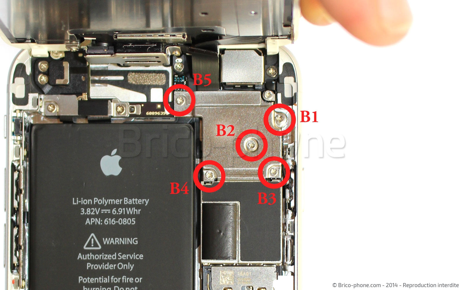 Changement de nappe caméra avant Facetime sur iPhone 6 photo 1