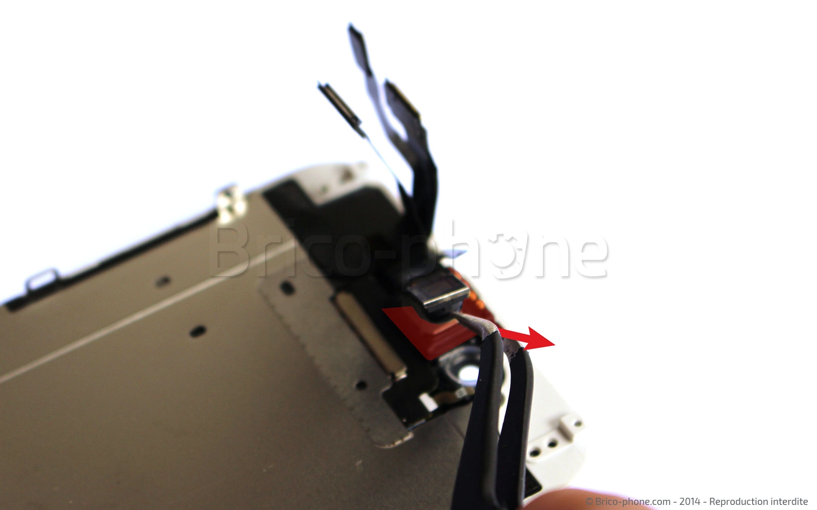 Changement de nappe caméra avant Facetime sur iPhone 6 photo 1