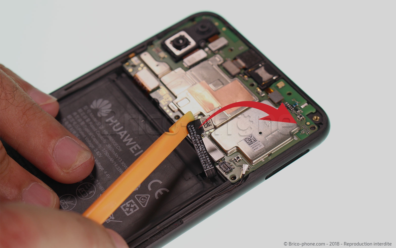 Changement de batterie sur Honor 8X photo 1