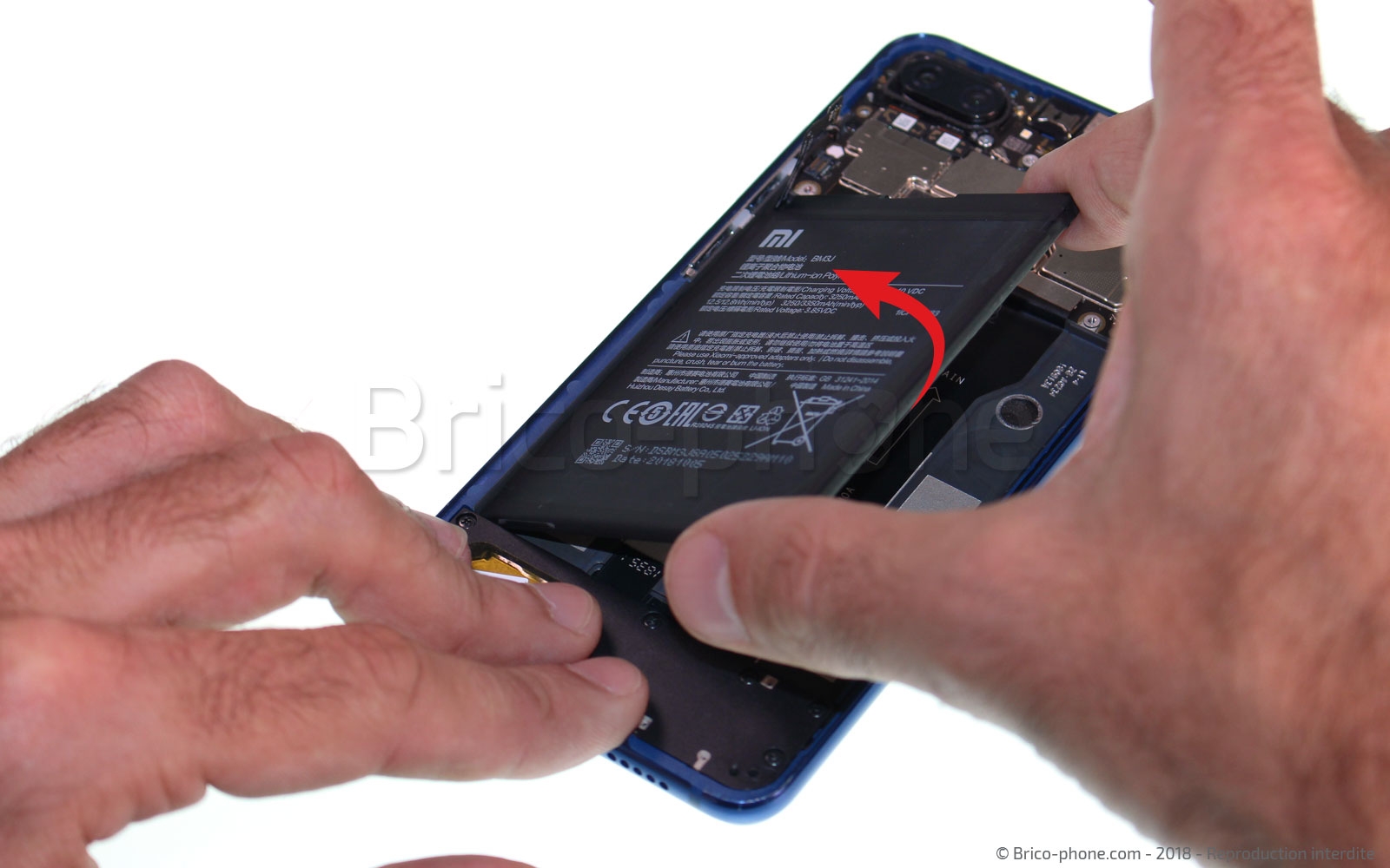 Démontage complet sur Mi 8 Lite photo 3