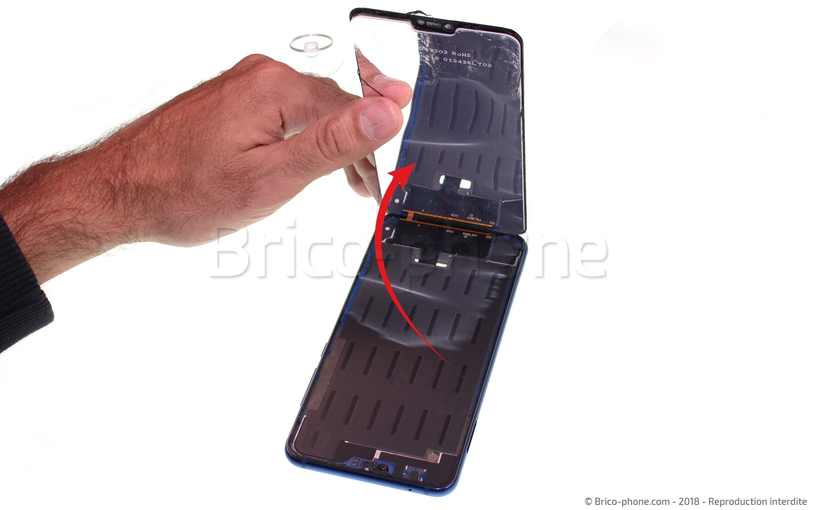 Démontage complet sur Mi 8 Lite photo 2