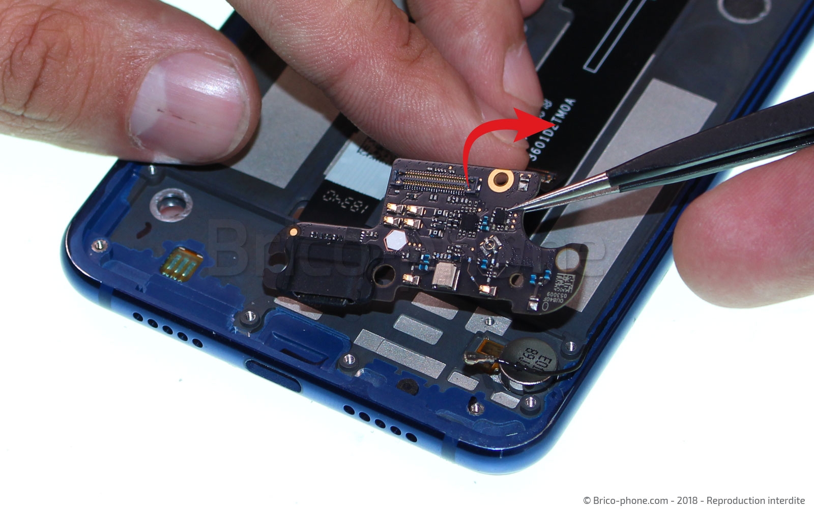 Démontage complet sur Mi 8 Lite photo 4