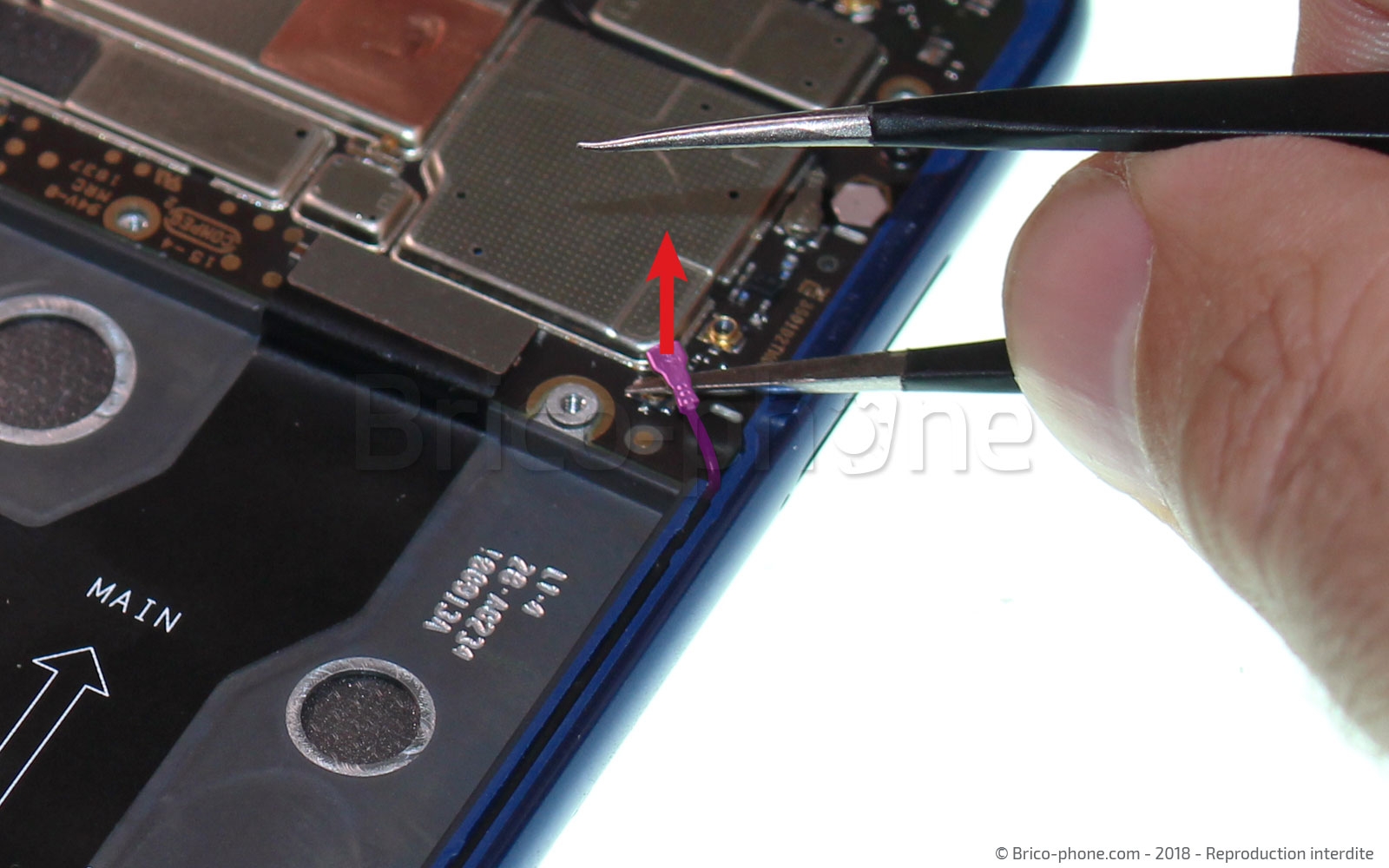 Démontage complet sur Mi 8 Lite photo 1