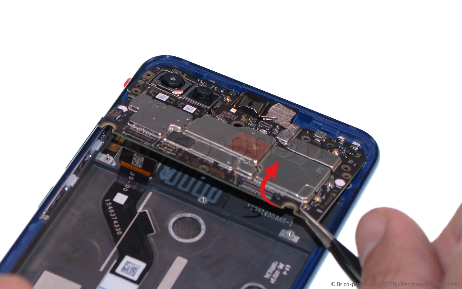 Démontage complet sur Mi 8 Lite photo 1