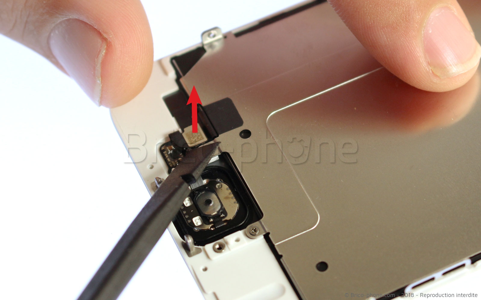 Changement de nappe bouton Home sur iPhone 6 photo 1