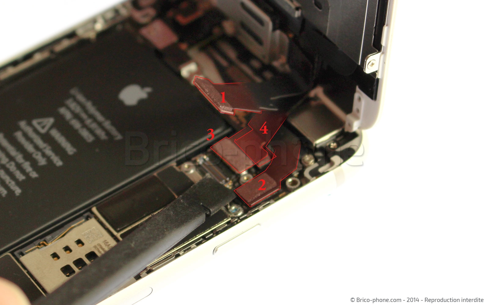 Changement de nappe bouton Home sur iPhone 6 photo 2