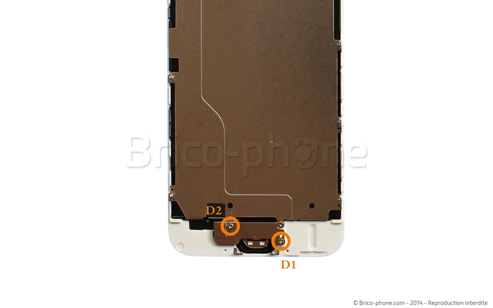 Changement de nappe bouton Home sur iPhone 6 photo 1