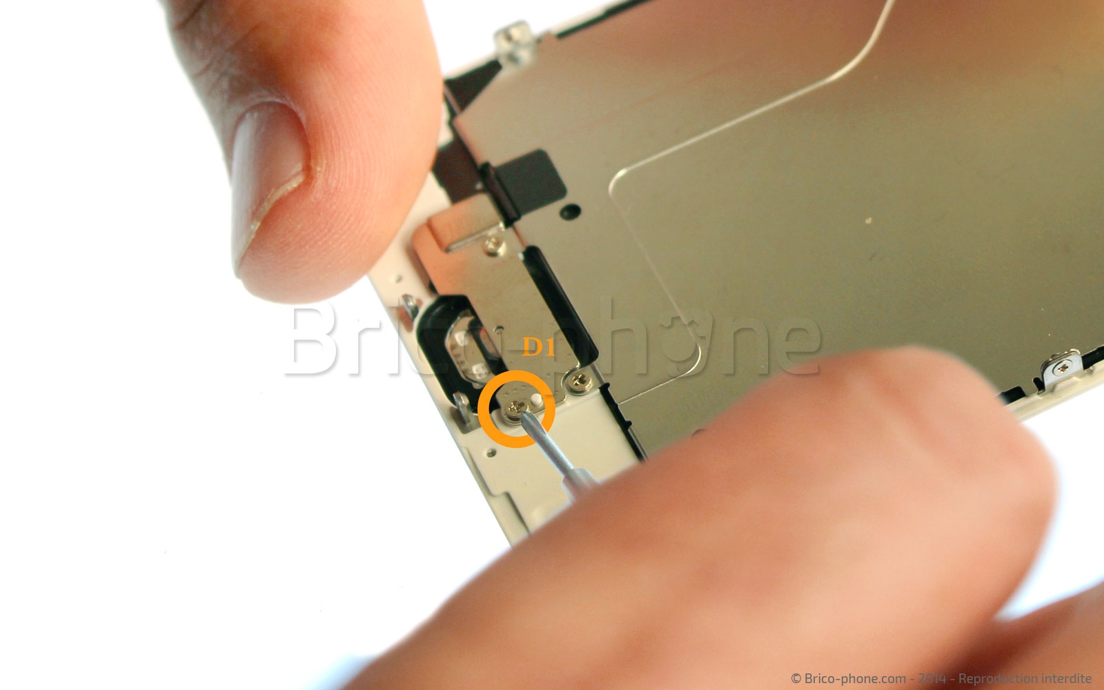 Changement de nappe bouton Home sur iPhone 6 photo 2