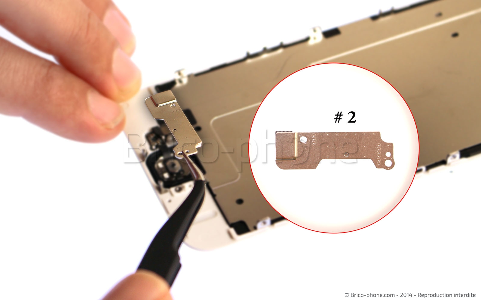 Changement de nappe bouton Home sur iPhone 6 photo 4