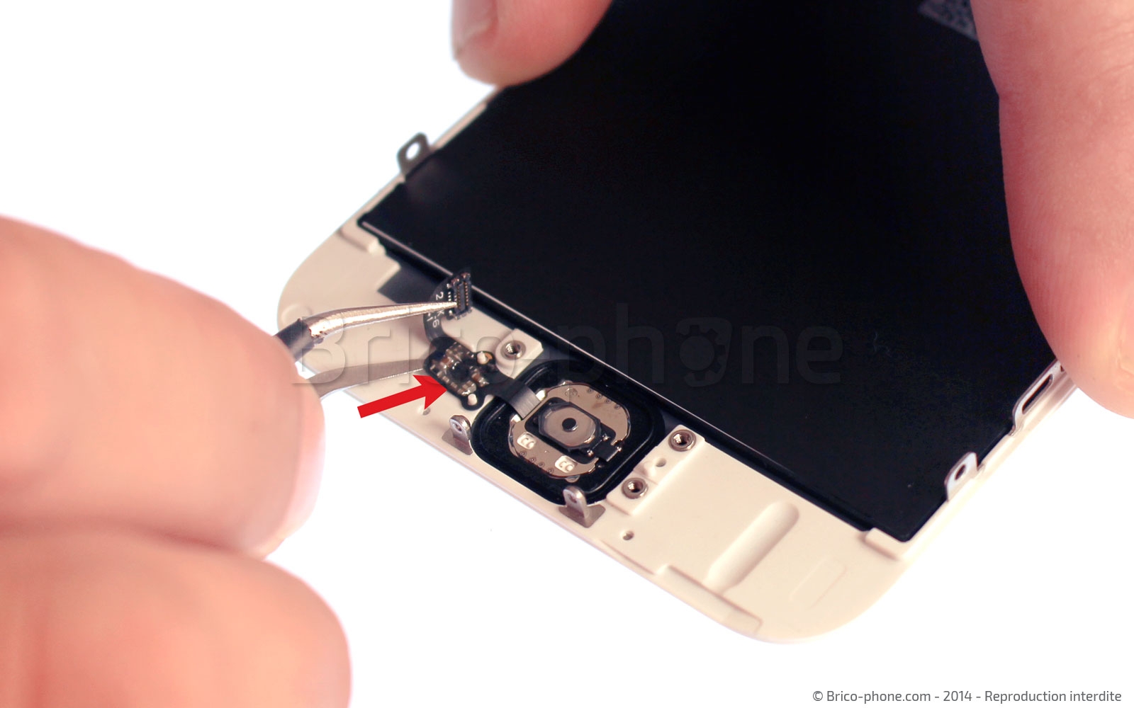 Changement de nappe bouton Home sur iPhone 6 photo 1