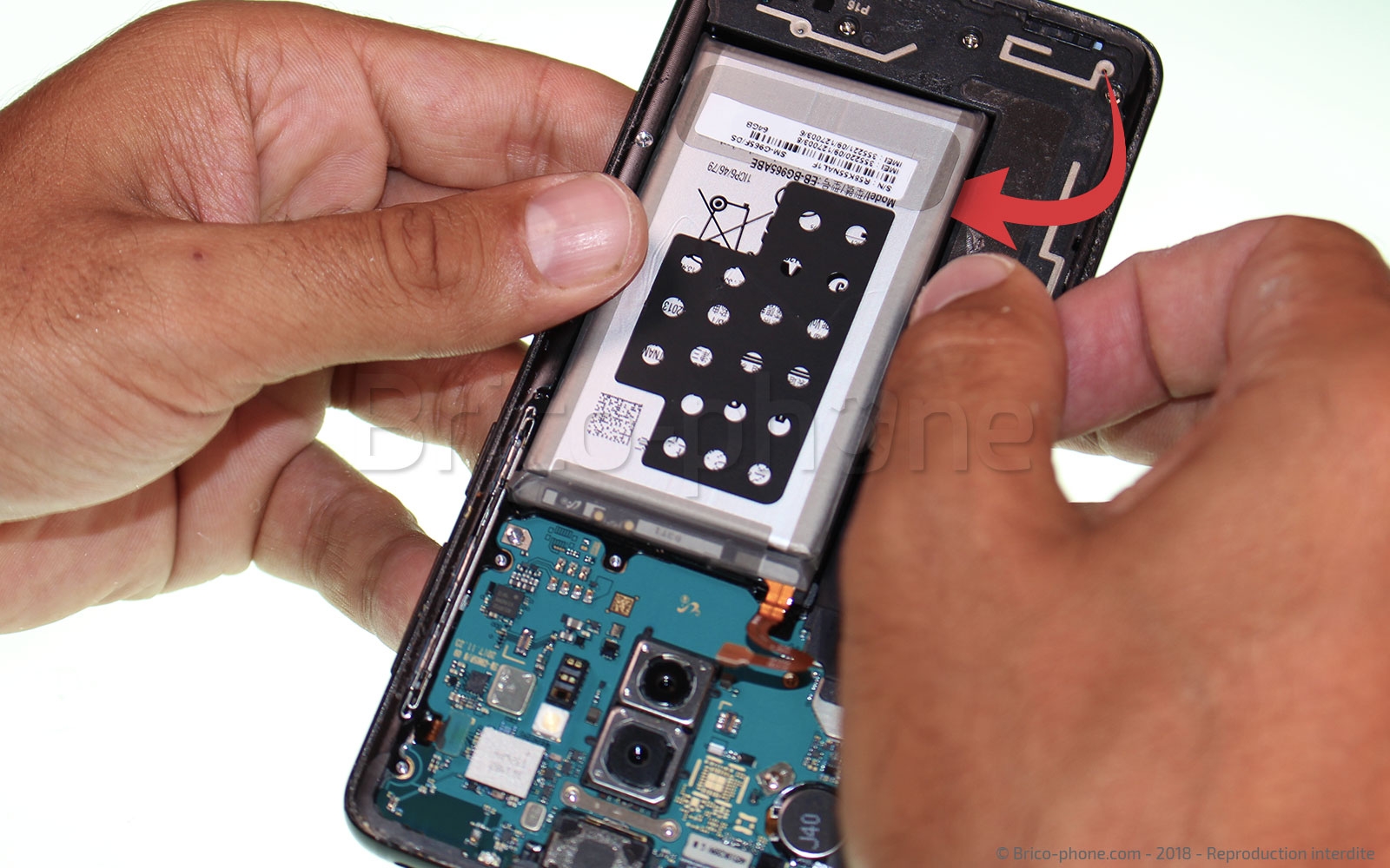 Changement de batterie sur Galaxy S9 Plus photo 1