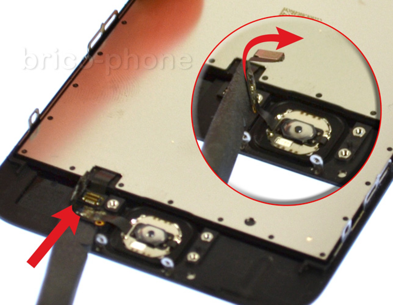 Changement de nappe bouton Home sur iPhone 6S photo 2