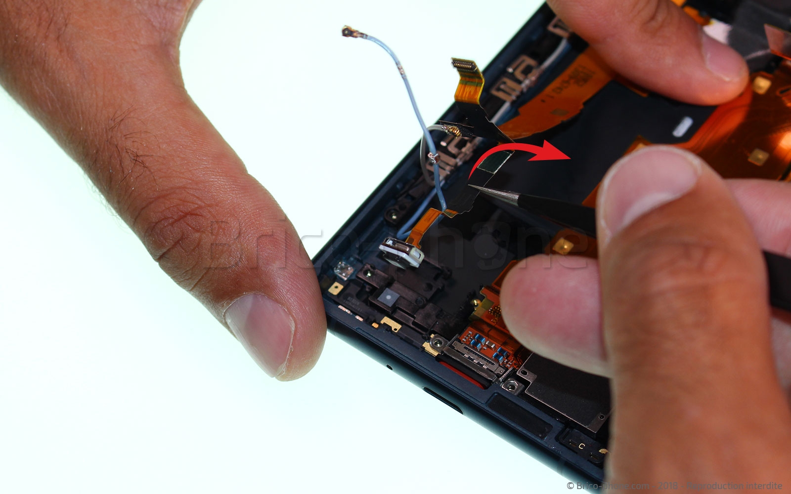 Changement de nappe power / volume sur Xperia XZ2 photo 2