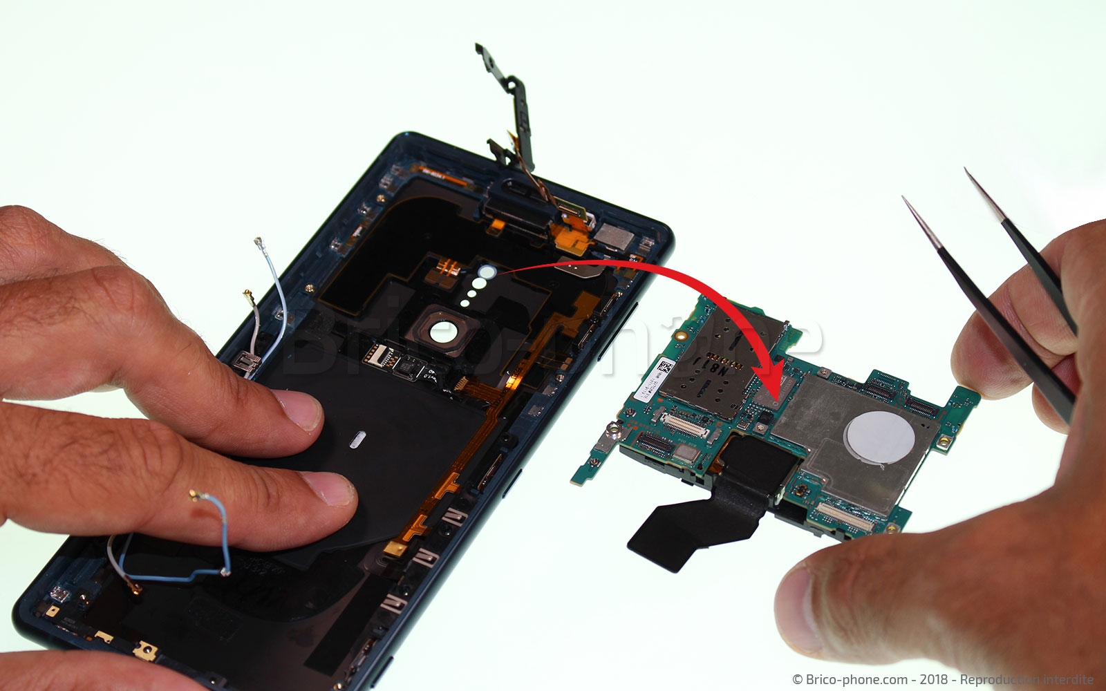 Changement de nappe power / volume sur Xperia XZ2 photo 2