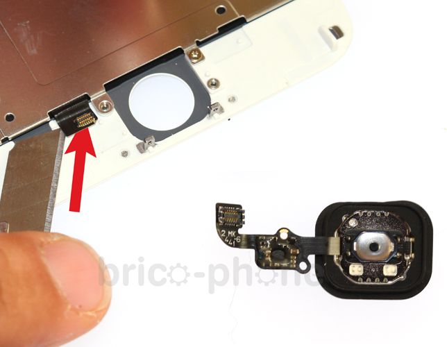 Changement d'écran (vitre+LCD) sans éléments prémontés sur iPhone 6 Plus photo 1