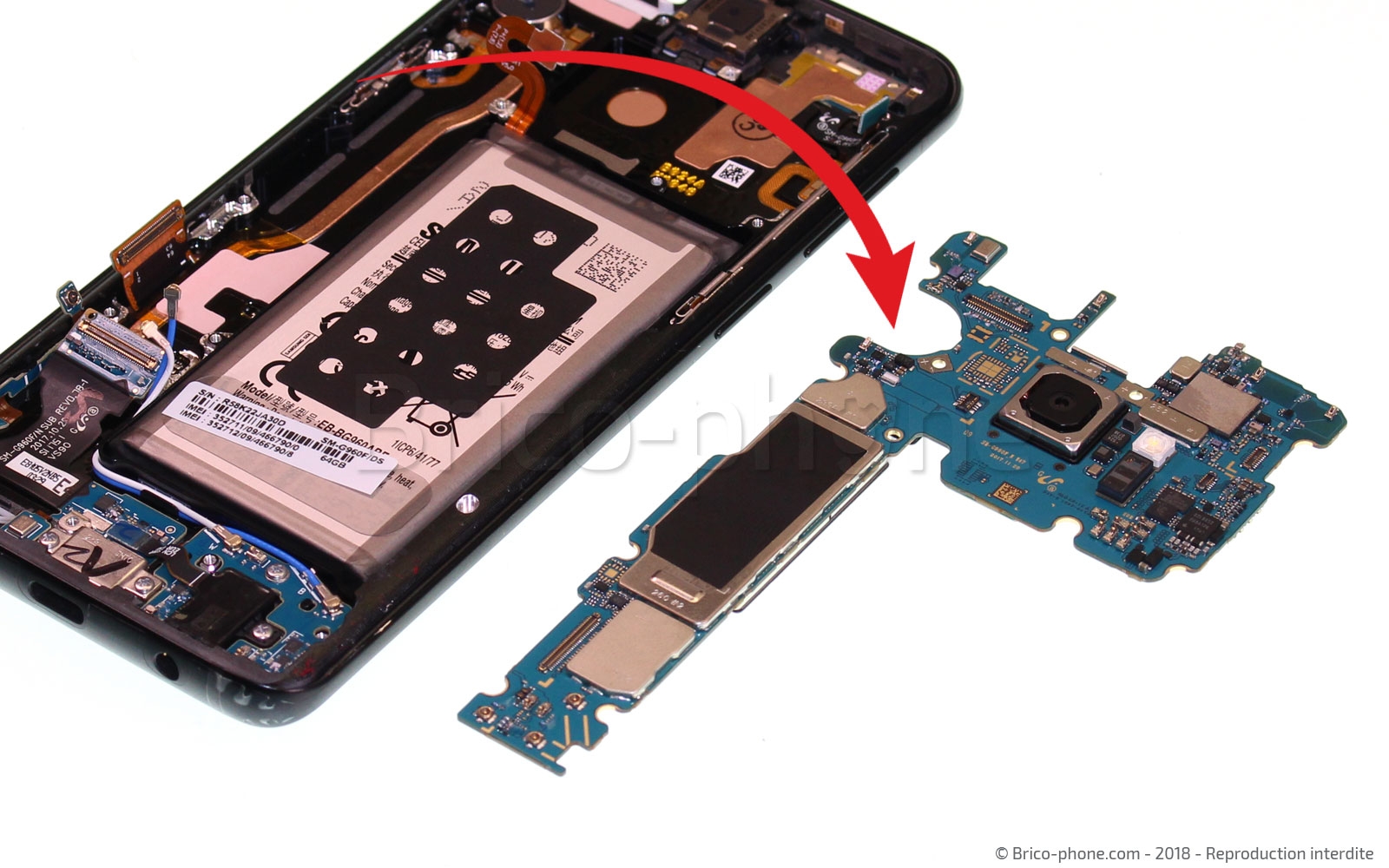 Démontage complet sur Galaxy S9 photo 4