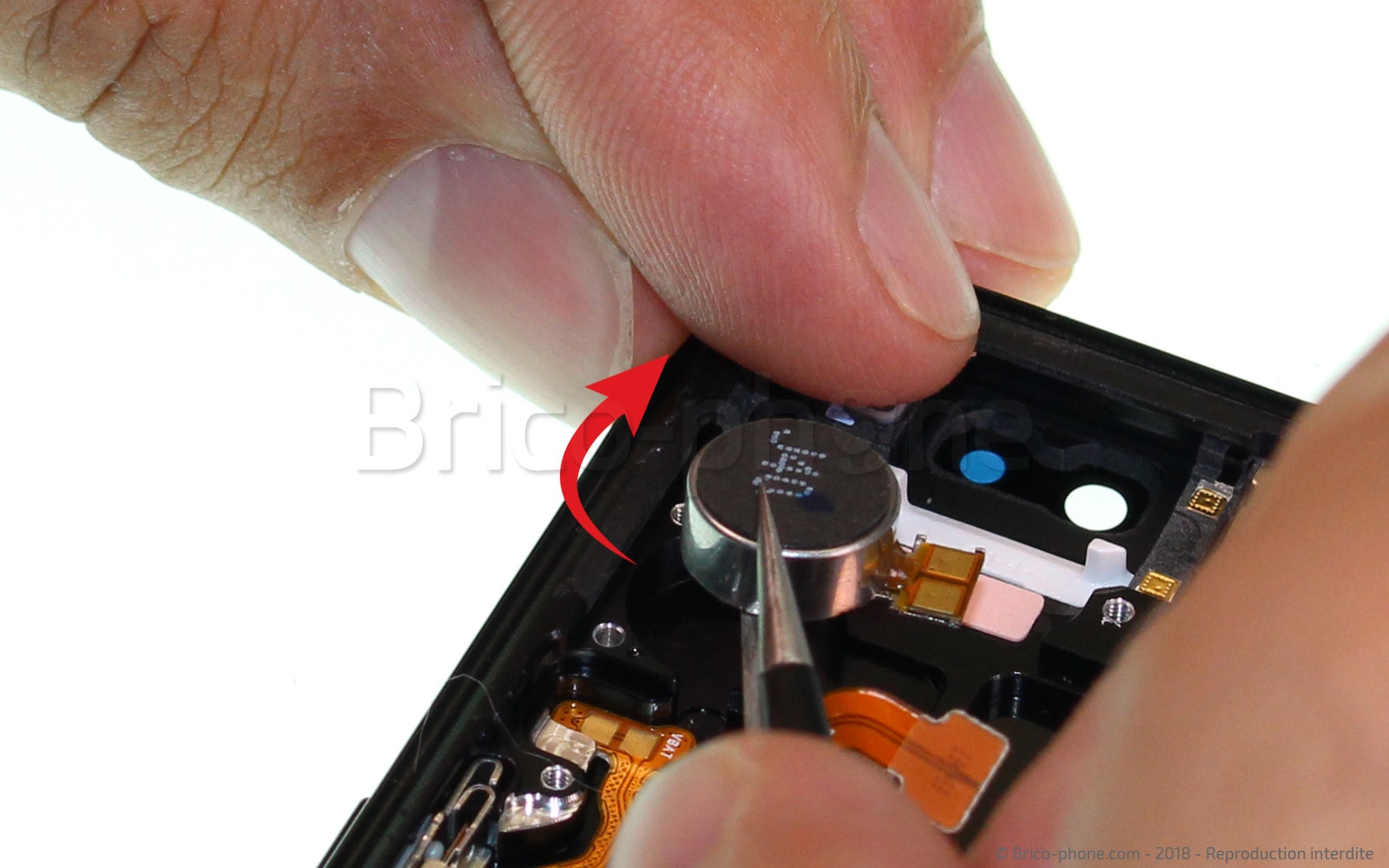 Démontage complet sur Galaxy S9 photo 2