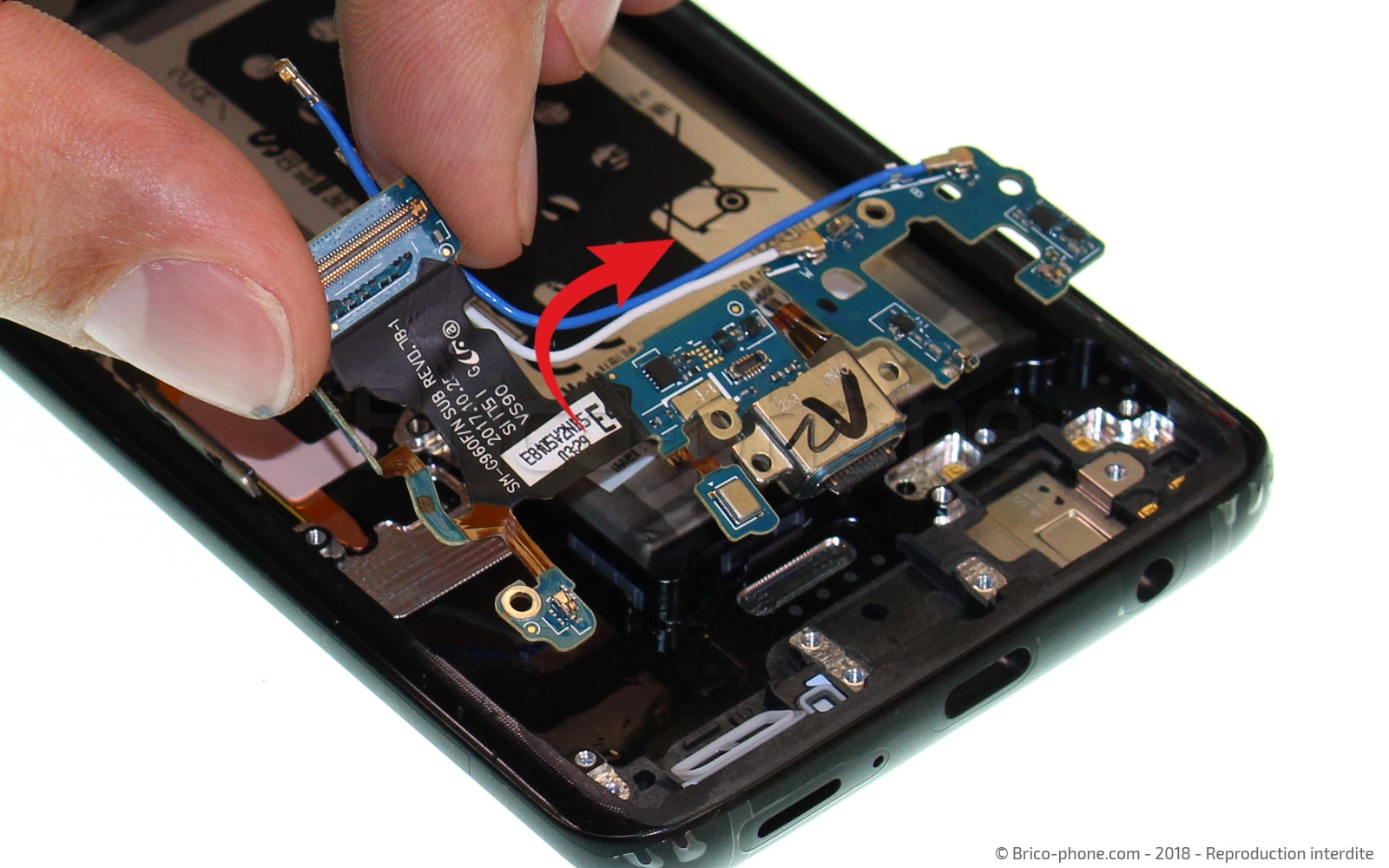 Démontage complet sur Galaxy S9 photo 3