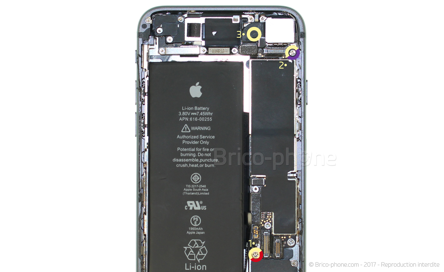 Changement du connecteur de charge sur iPhone 8 photo 1