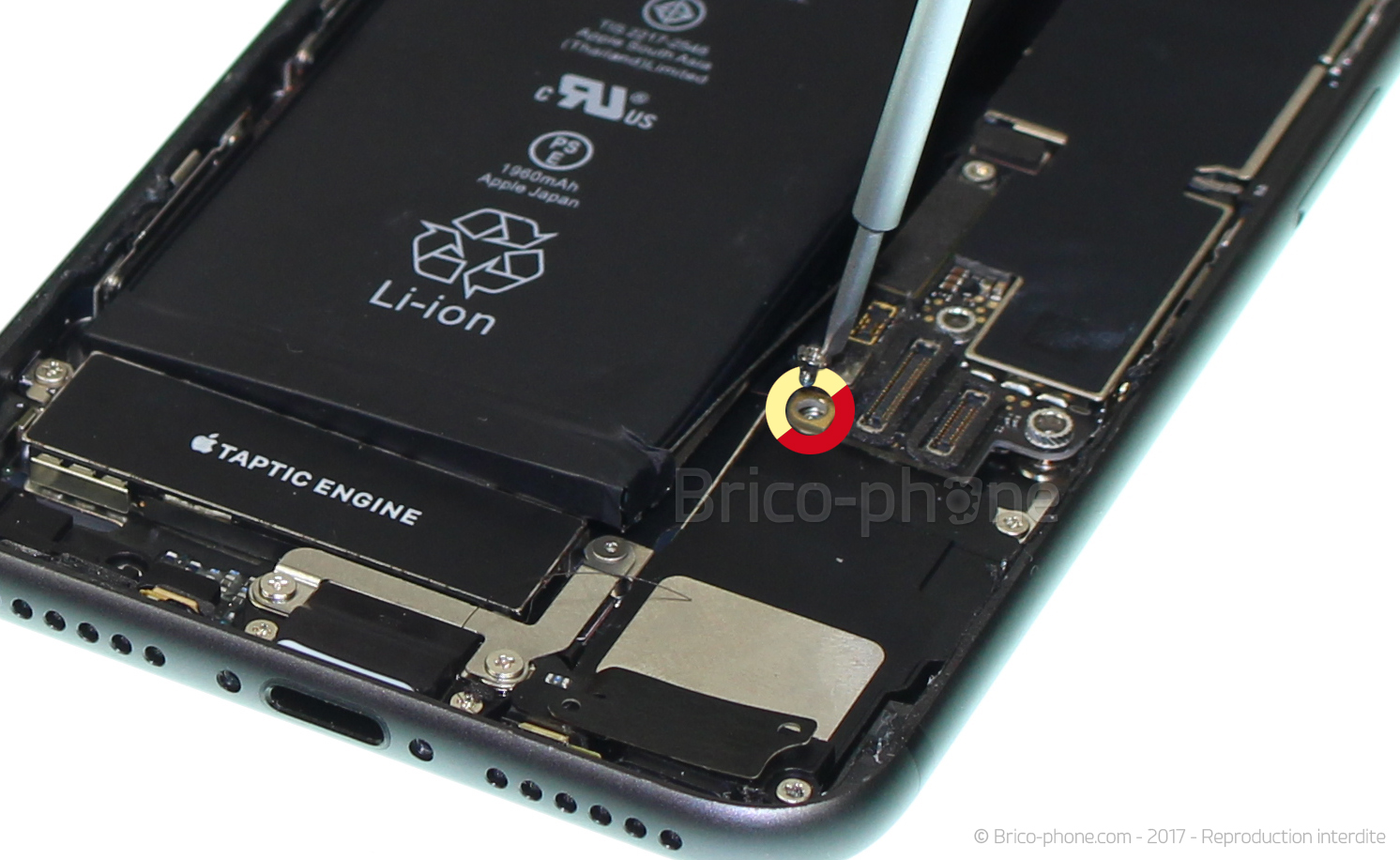 Changement du connecteur de charge sur iPhone 8 photo 2