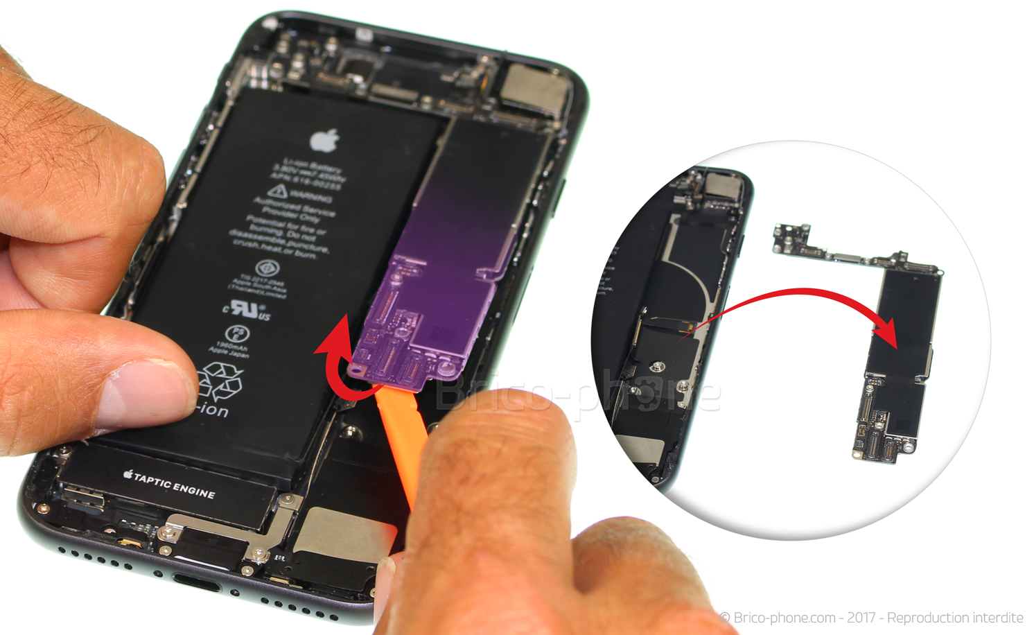 Changement du connecteur de charge sur iPhone 8 photo 3