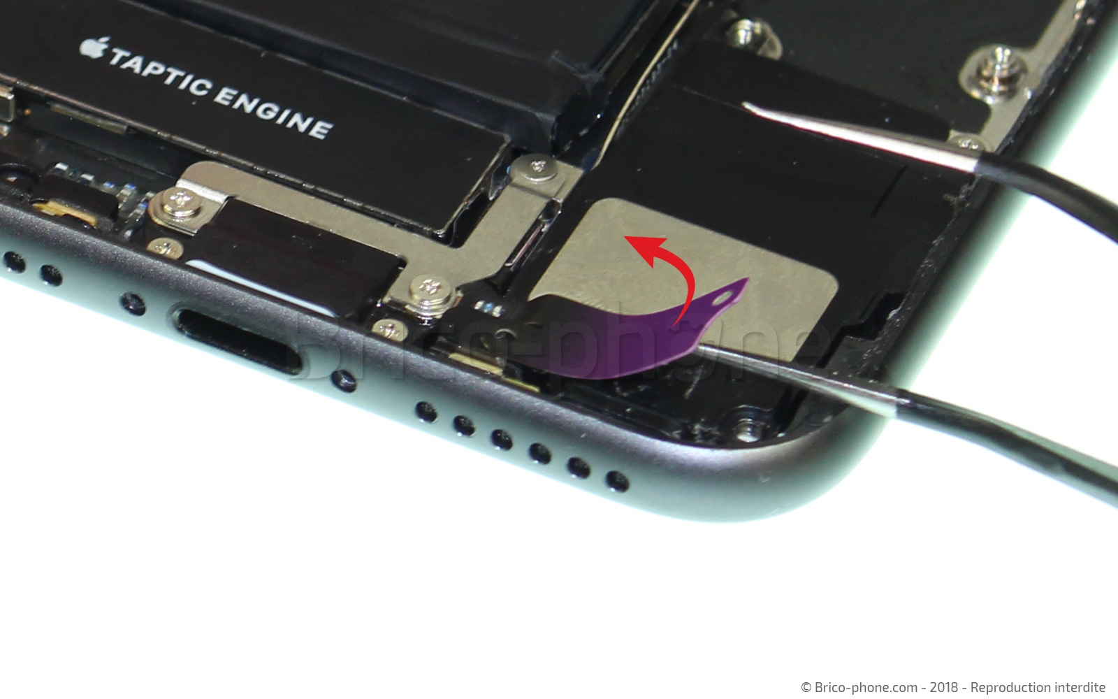 Changement du connecteur de charge sur iPhone 8 photo 2