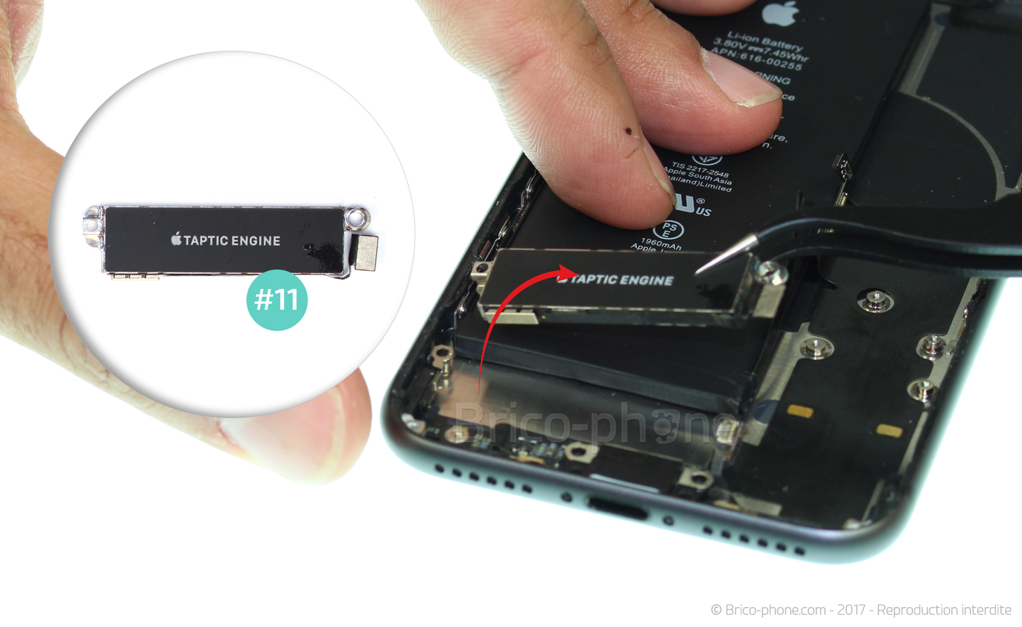 Changement du connecteur de charge sur iPhone 8 photo 3