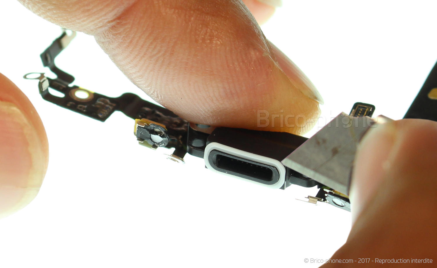 Changement du connecteur de charge sur iPhone 8 photo 1