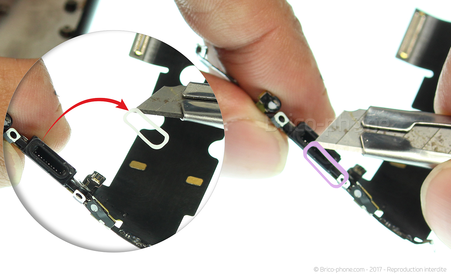 Changement du connecteur de charge sur iPhone 8 photo 2