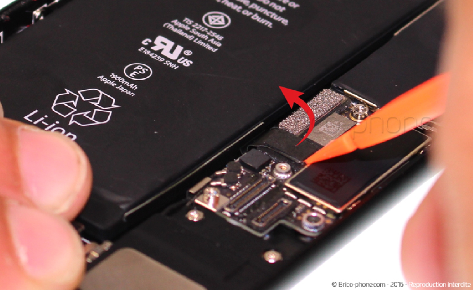 Changement du connecteur de charge sur iPhone 7 Plus photo 1