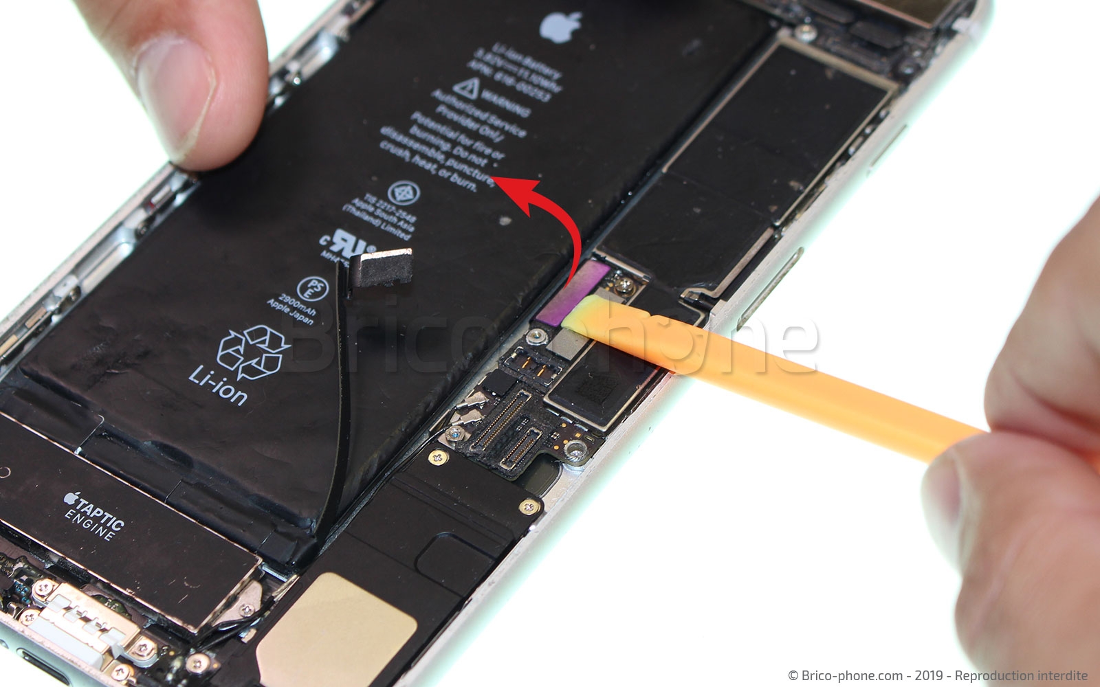 Changement du connecteur de charge sur iPhone 7 Plus photo 1