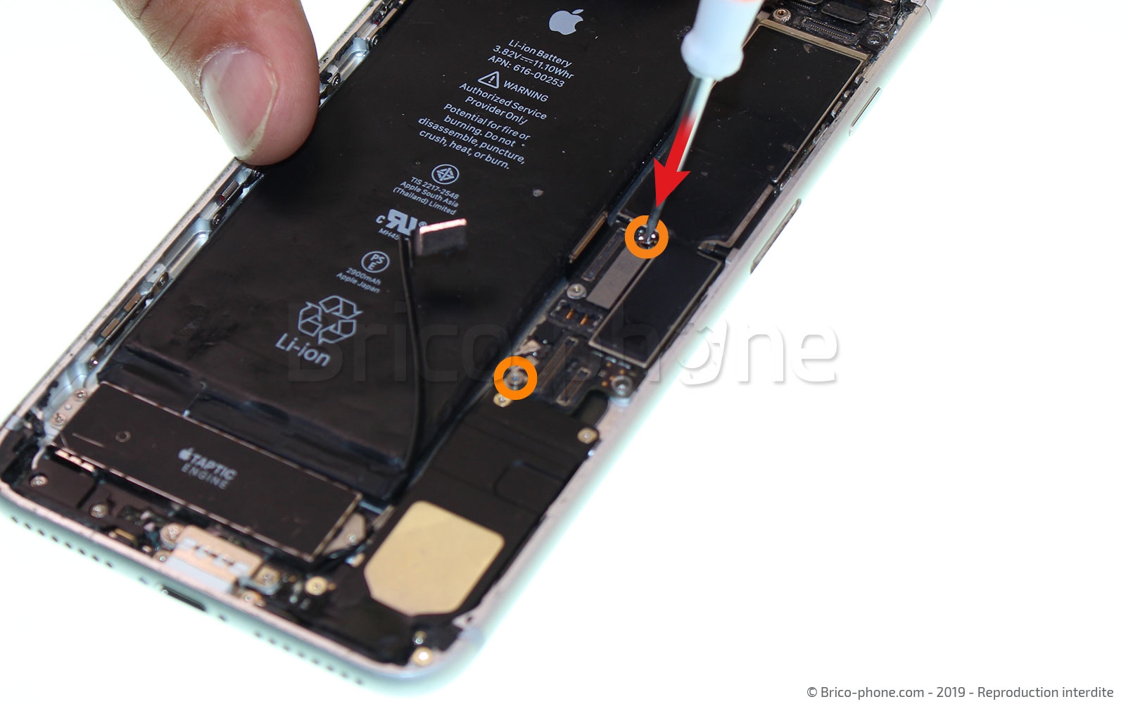 Changement du connecteur de charge sur iPhone 7 Plus photo 1