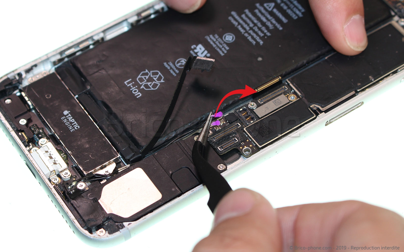 Changement du connecteur de charge sur iPhone 7 Plus photo 1